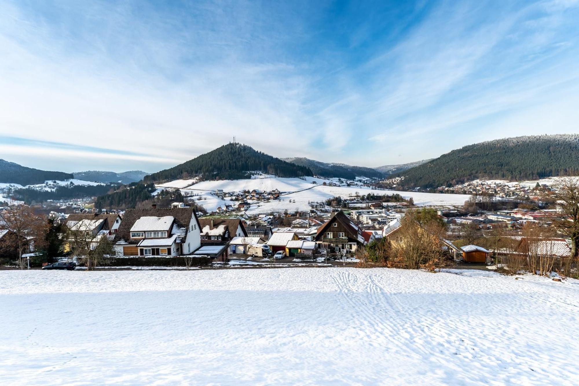 Apartmán Juri5 In Baiersbronn Mit Pool Exteriér fotografie