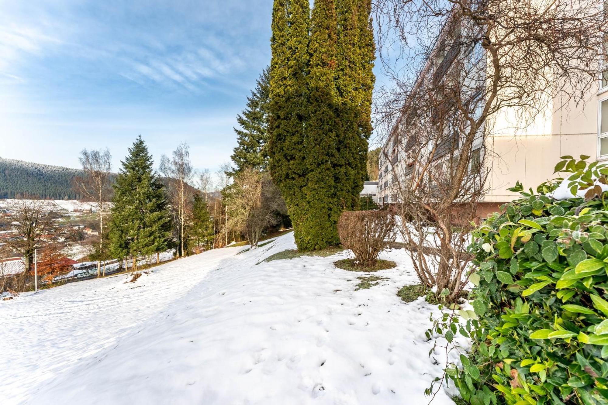Apartmán Juri5 In Baiersbronn Mit Pool Exteriér fotografie